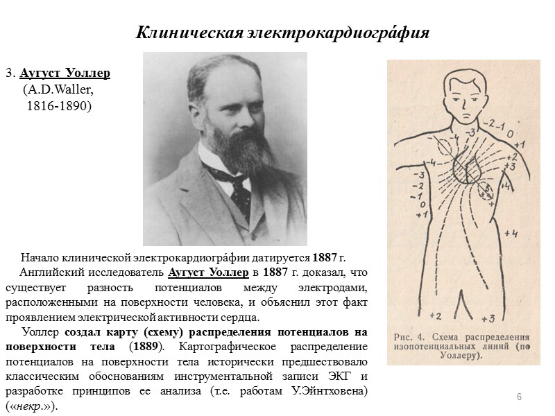 6      Начало клинической электрокардиогрáфии датируется 1887 г.  